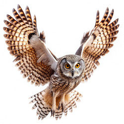 Similar image 22193640