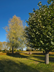 Similar image 22193161