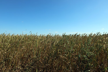 Similar image 22194336