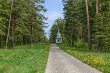 Similar image 22192993