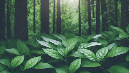 Similar image 22193194