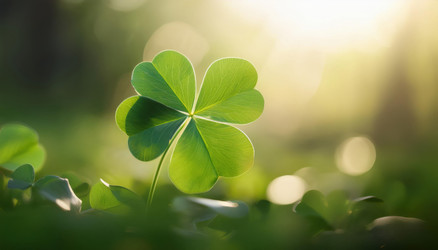 Similar image 22193212