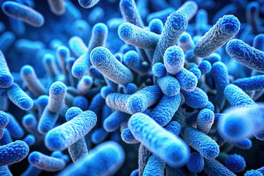 Similar image 22193425