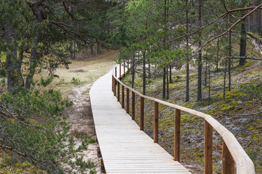 Similar image 22193830