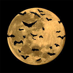 Similar image 22194338