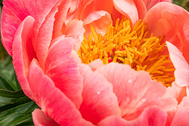 Similar image 22193008