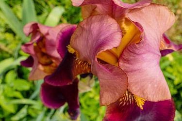 Similar image 22193010