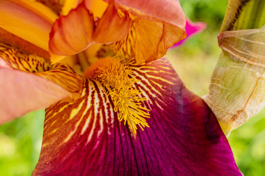 Similar image 22193011