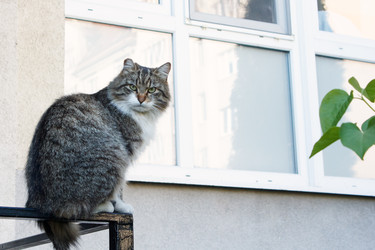 Similar image 22193907