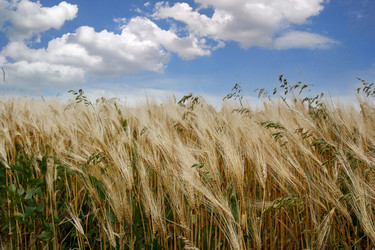 Similar image 22193930