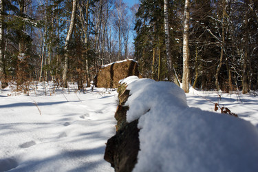 Similar image 22193932