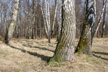 Similar image 22193949