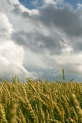 Similar image 22193657