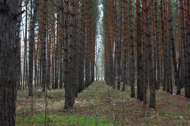 Similar image 22193603