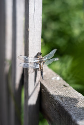 Similar image 22193096