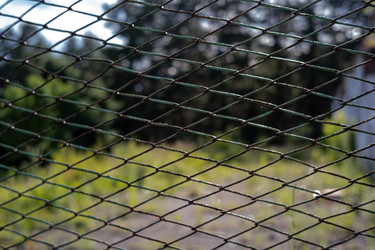 Similar image 22194341