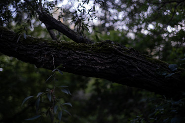 Similar image 22194136