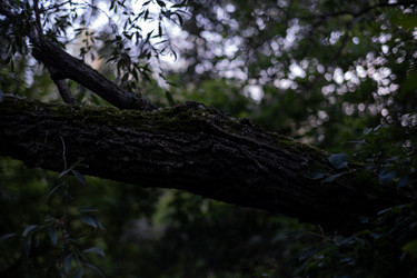 Similar image 22194137