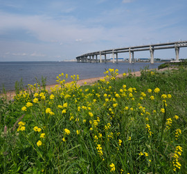 Similar image 22193488