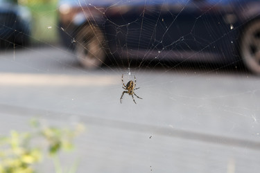 Similar image 22193856