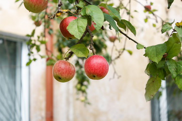 Similar image 22193857