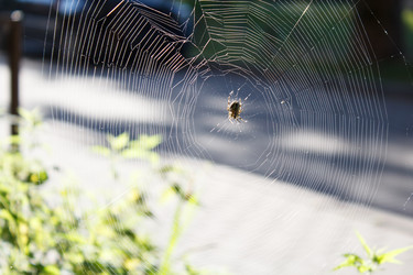 Similar image 22193858