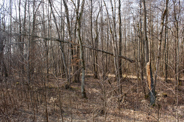 Similar image 22193862