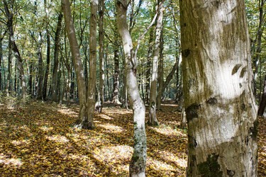 Similar image 22193874