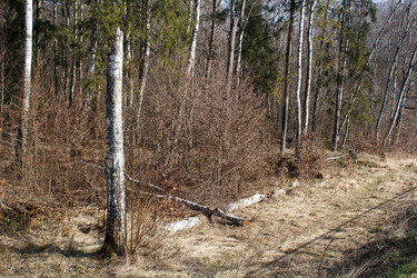 Similar image 22193876