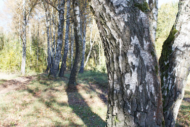 Similar image 22193878