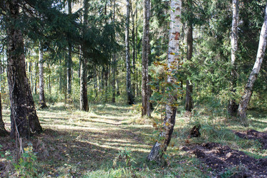 Similar image 22193881