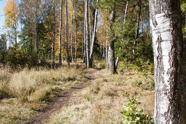 Similar image 22193882