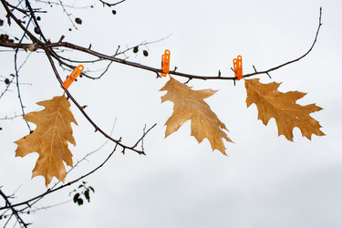 Similar image 22193884