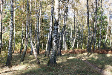 Similar image 22193885