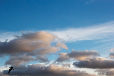 Similar image 22193886