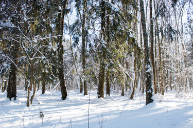 Similar image 22193890