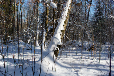 Similar image 22193891