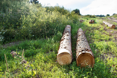 Similar image 22193954