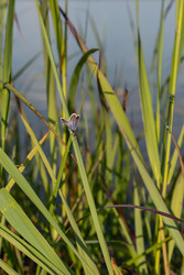 Similar image 22193662