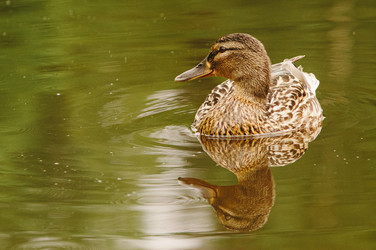 Similar image 22193841