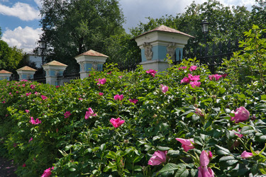 Similar image 22193546