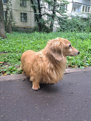 Similar image 22193610