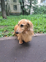 Similar image 22193611