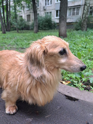 Similar image 22193612