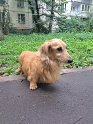 Similar image 22193578