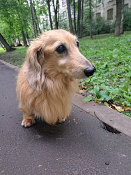 Similar image 22193579