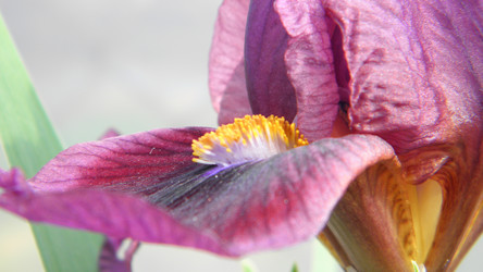 Similar image 22194139