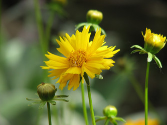 Similar image 22194140