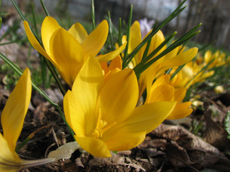 Similar image 22194142