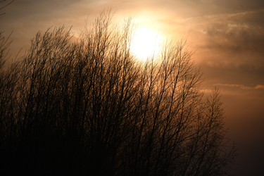 Similar image 22194192